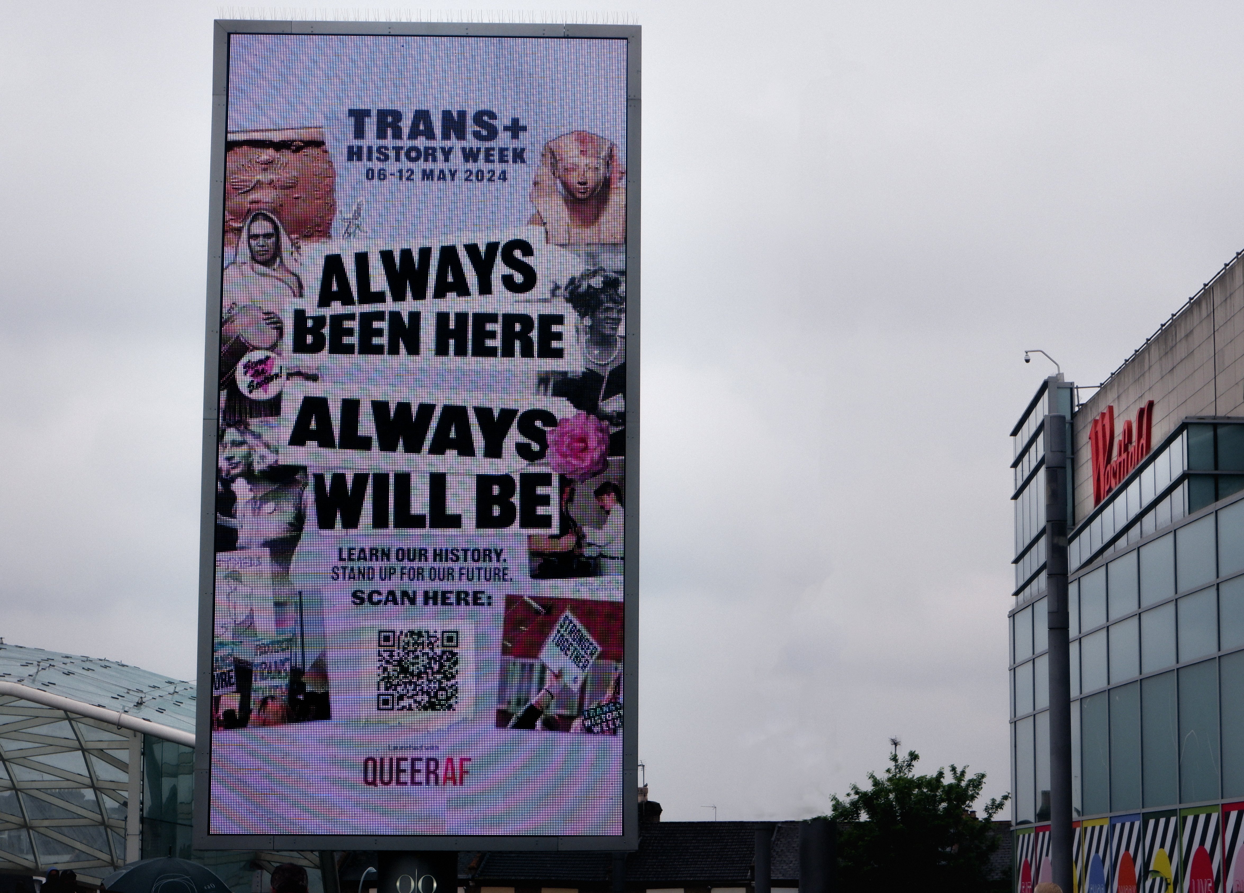 Trans + in situ image.jpg