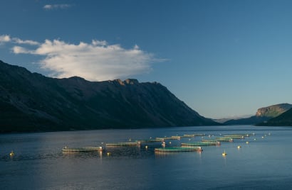 Artifishal---Ben-Moon-mountains.jpg