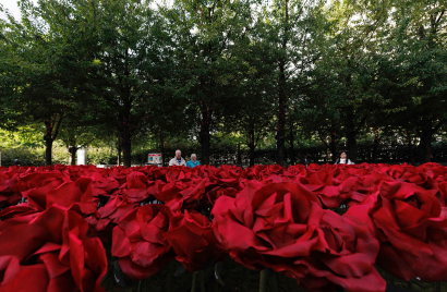 Red Roses 2[60].jpeg
