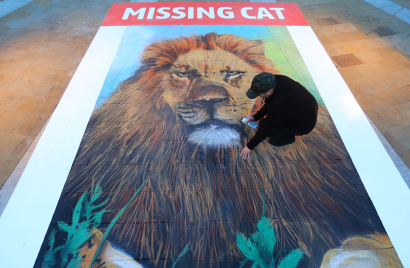 giant-missing-cat-poster---paternoster-square-london---29th-jan-2019_46917218241_o.jpg
