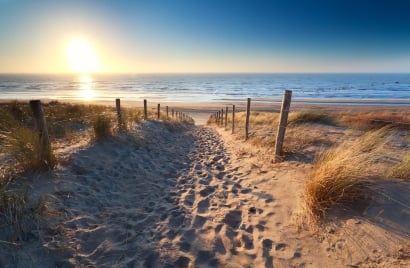 Amsterdam beaches.jpg