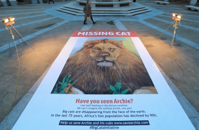 giant-missing-cat-poster---paternoster-square-london---29th-jan-2019_46917217961_o.jpg