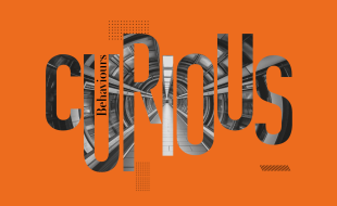 Creativebrief research on curiosity in the news