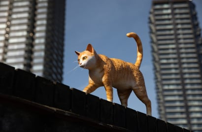Ad Attack cat 1.jpg
