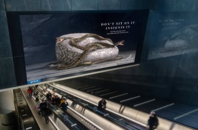 Insignis Poster Snake in situ Bank[3].jpg.jpeg