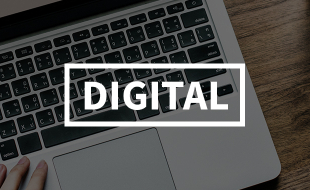 Discipline Focus: Digital