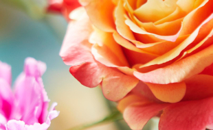 Bloom & Wild partner with Creativebrief for Thoughtful Marketing Event