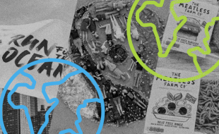 Going Green: Advertising Campaigns from Sustainable Brands