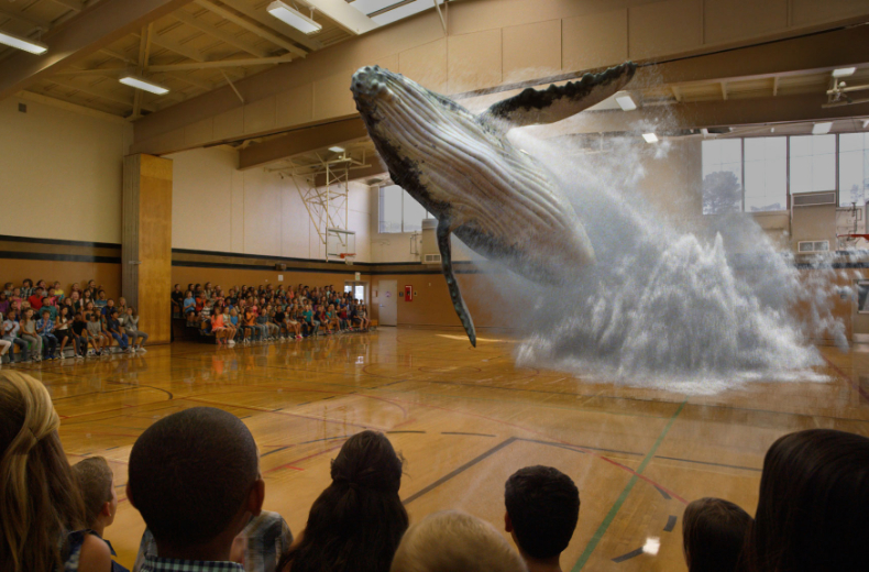 Magic Leap