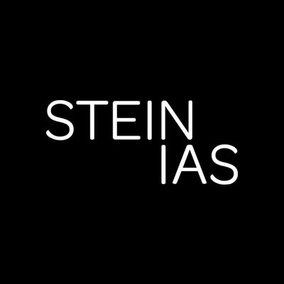 Stein IAS Logo