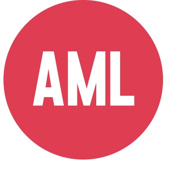 AML Group Logo