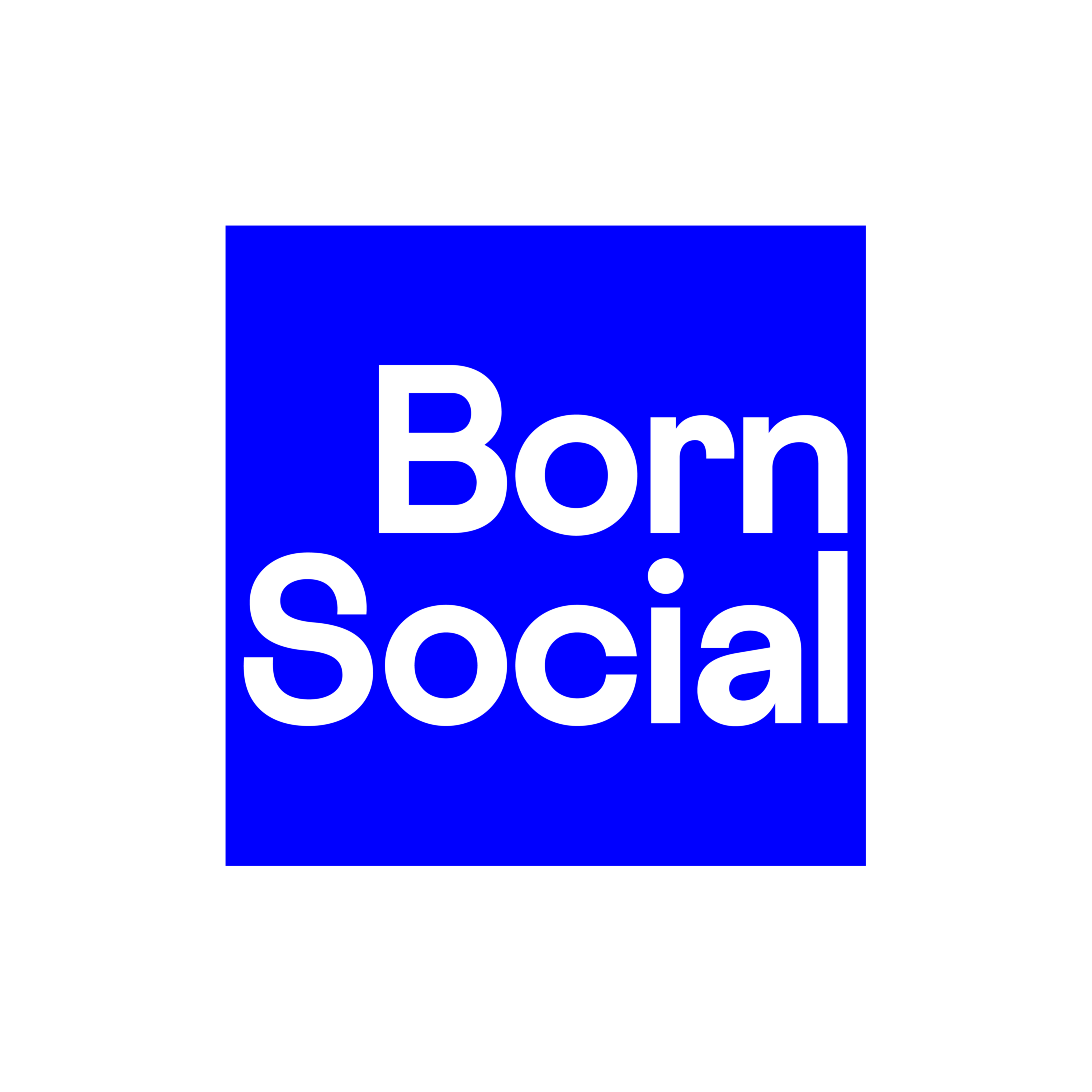 Born Social  Logo