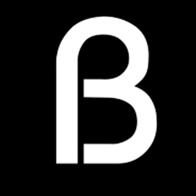 Blonstein Logo